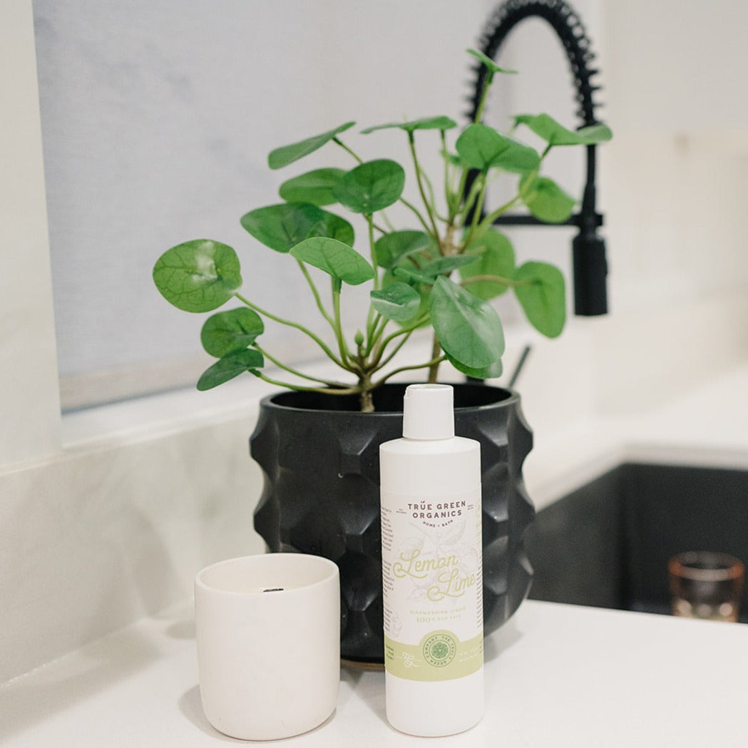 True Green Organics Dish Washing Soap 8oz bottle next to a white candle and black vase with potted plant. All next to a kitchen sink